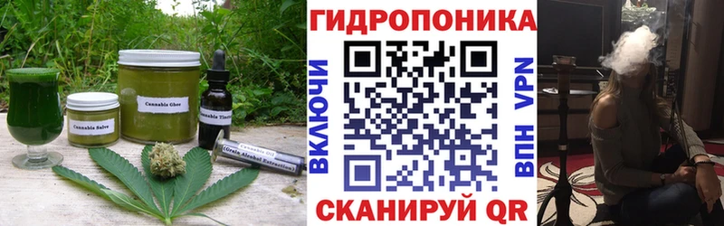 Canna-Cookies конопля  сайты даркнета состав  Сураж 