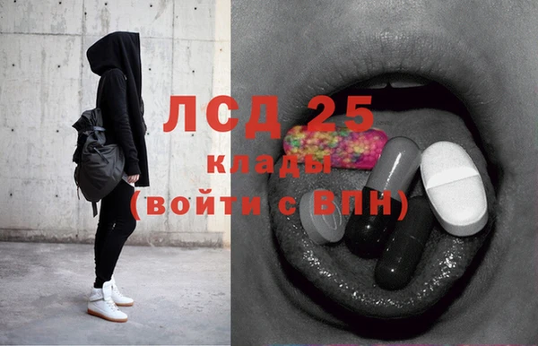 индика Инта