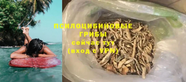 герыч Каменногорск